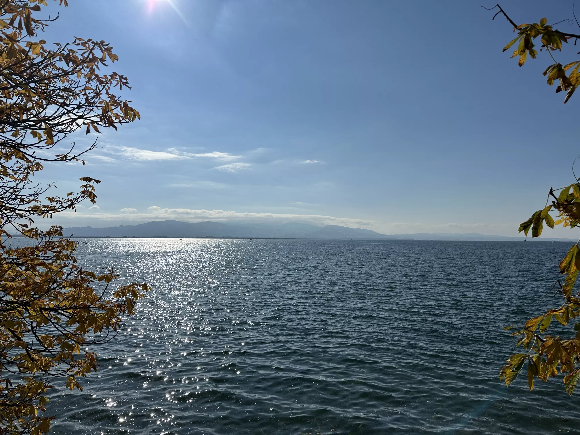 Ferienwohnung im Allgäu