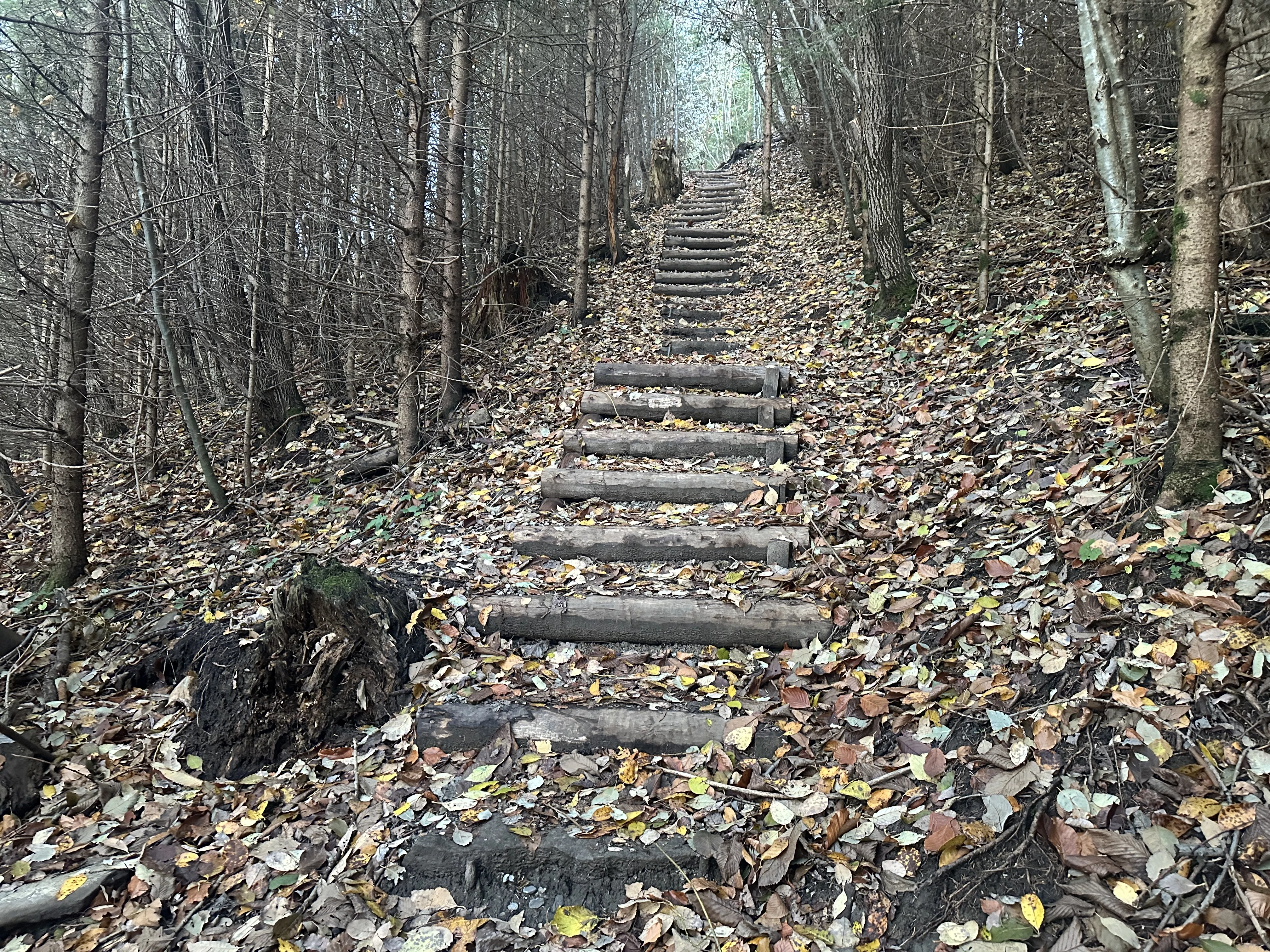 Ferienwohnung im Allgäu