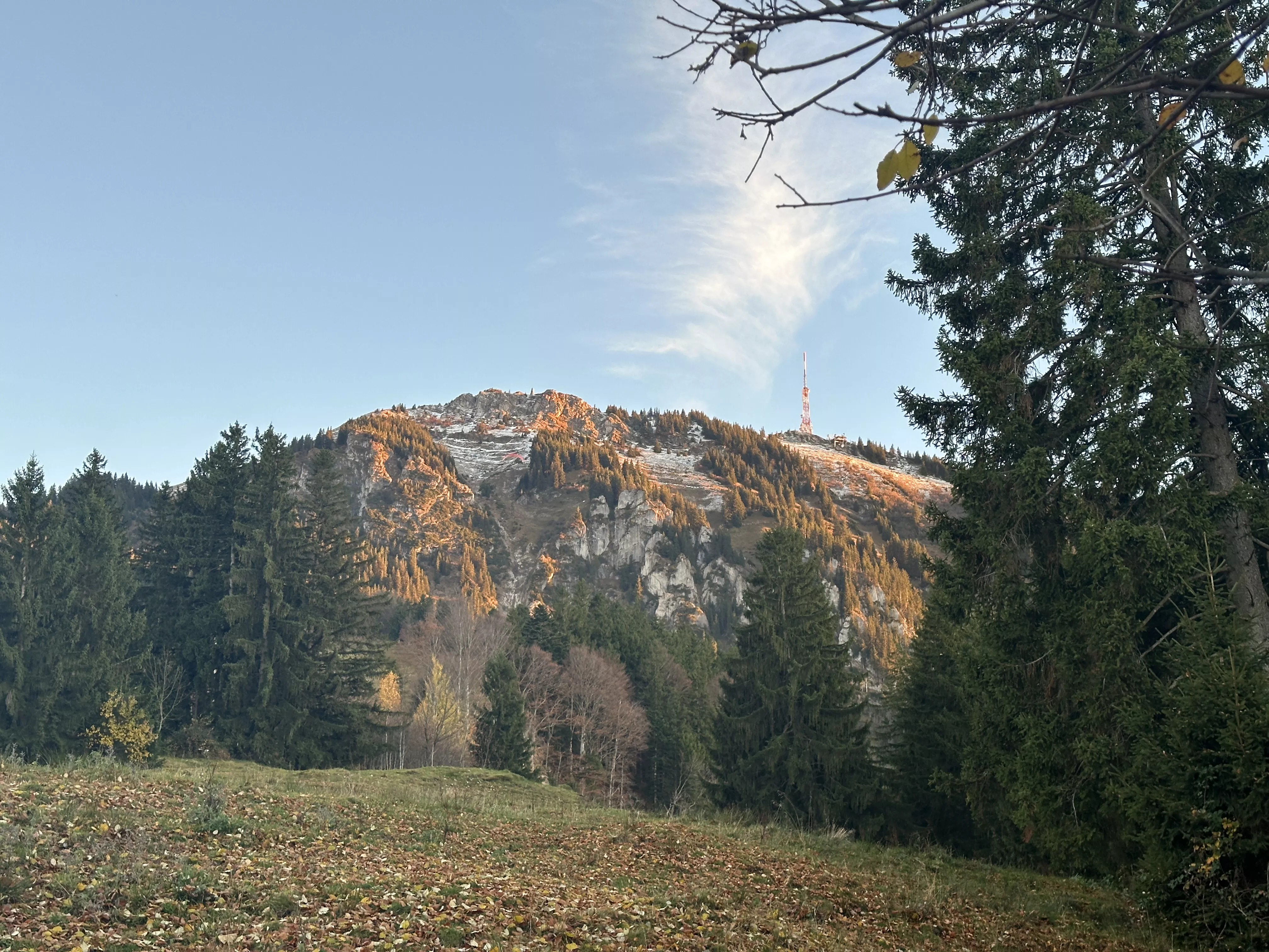 Ferienwohnung im Allgäu