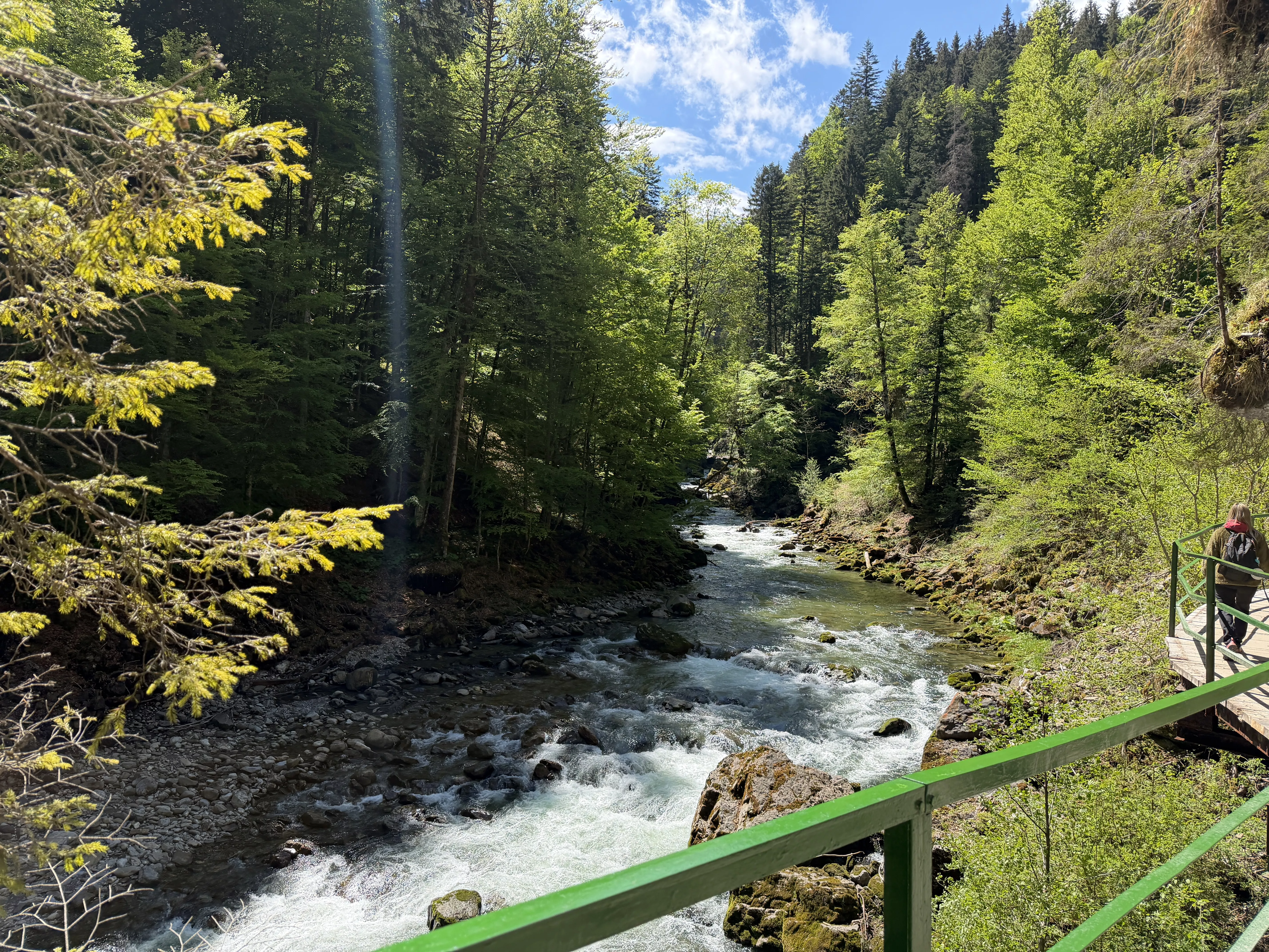Ferienwohnung im Allgäu