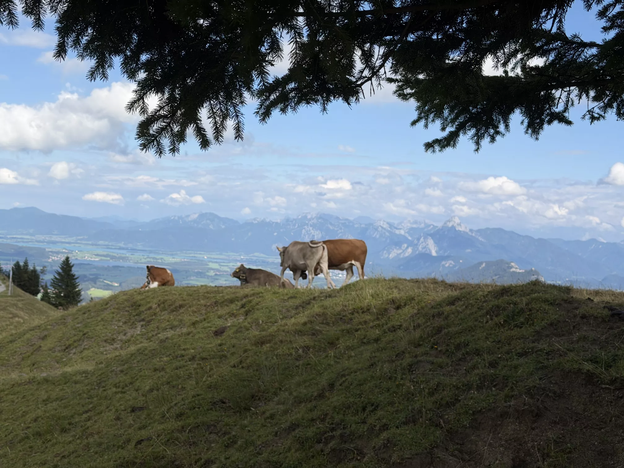 Ferienwohnung im Allgäu