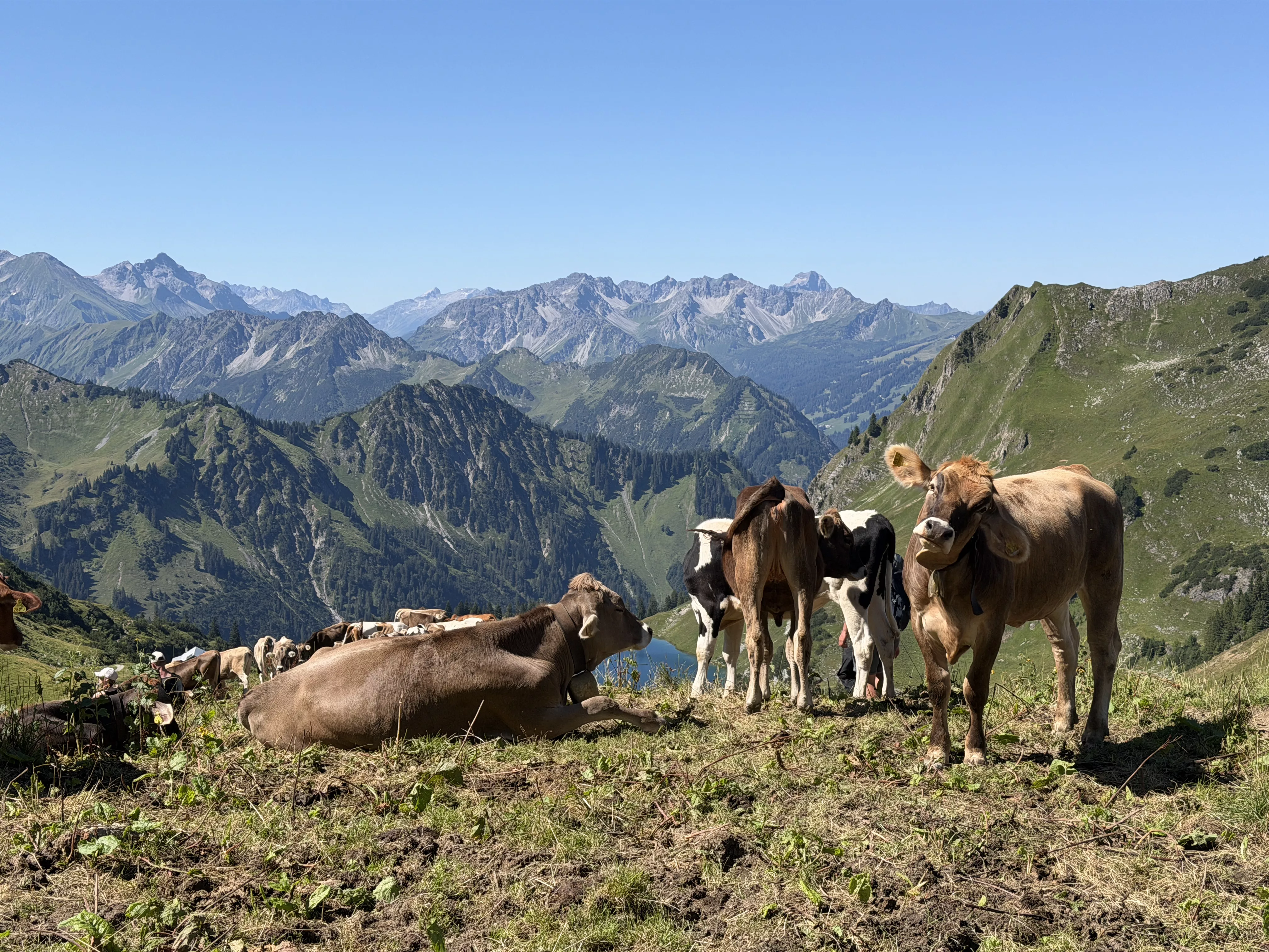 Ferienwohnung im Allgäu