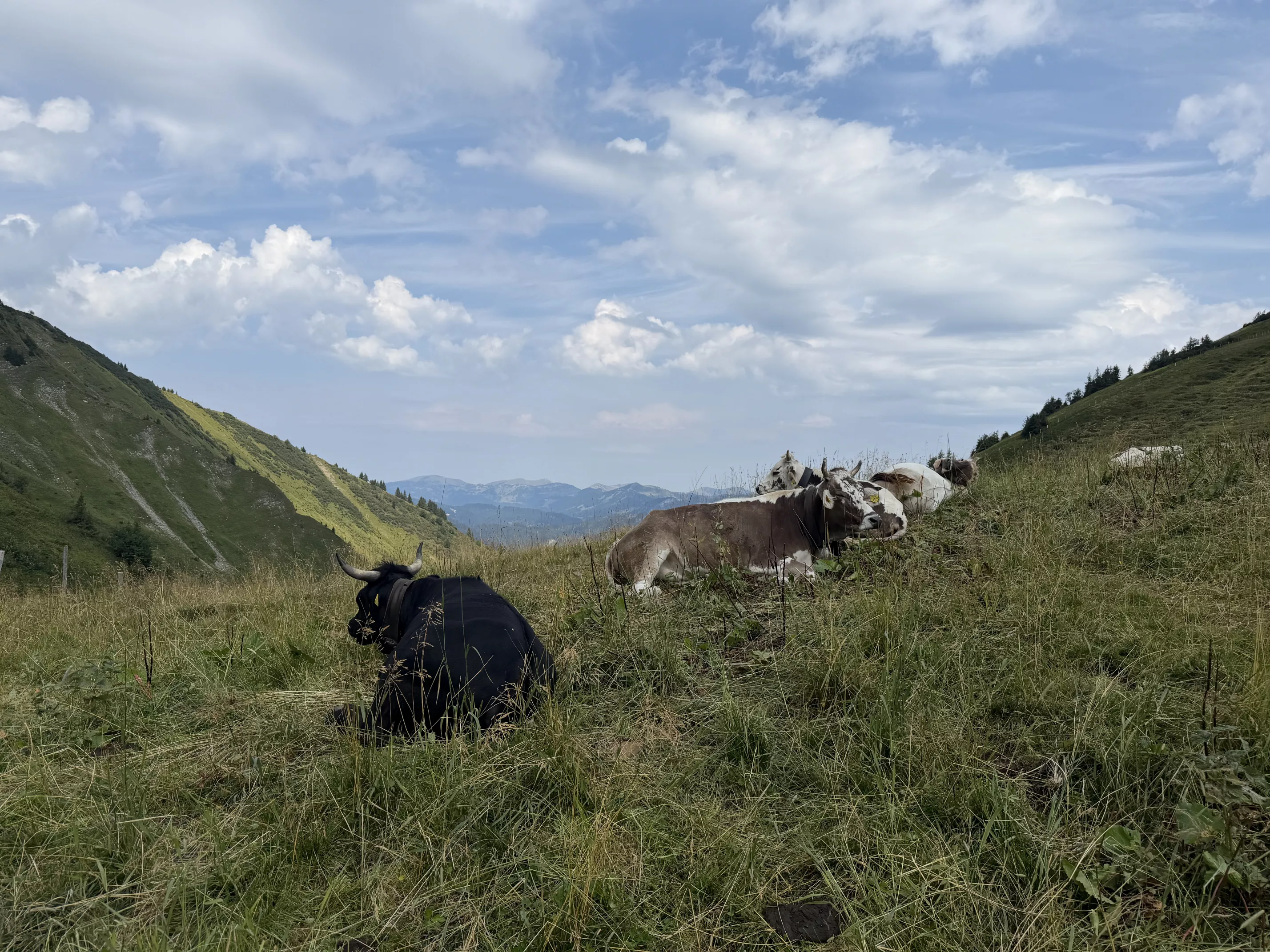 Ferienwohnung im Allgäu