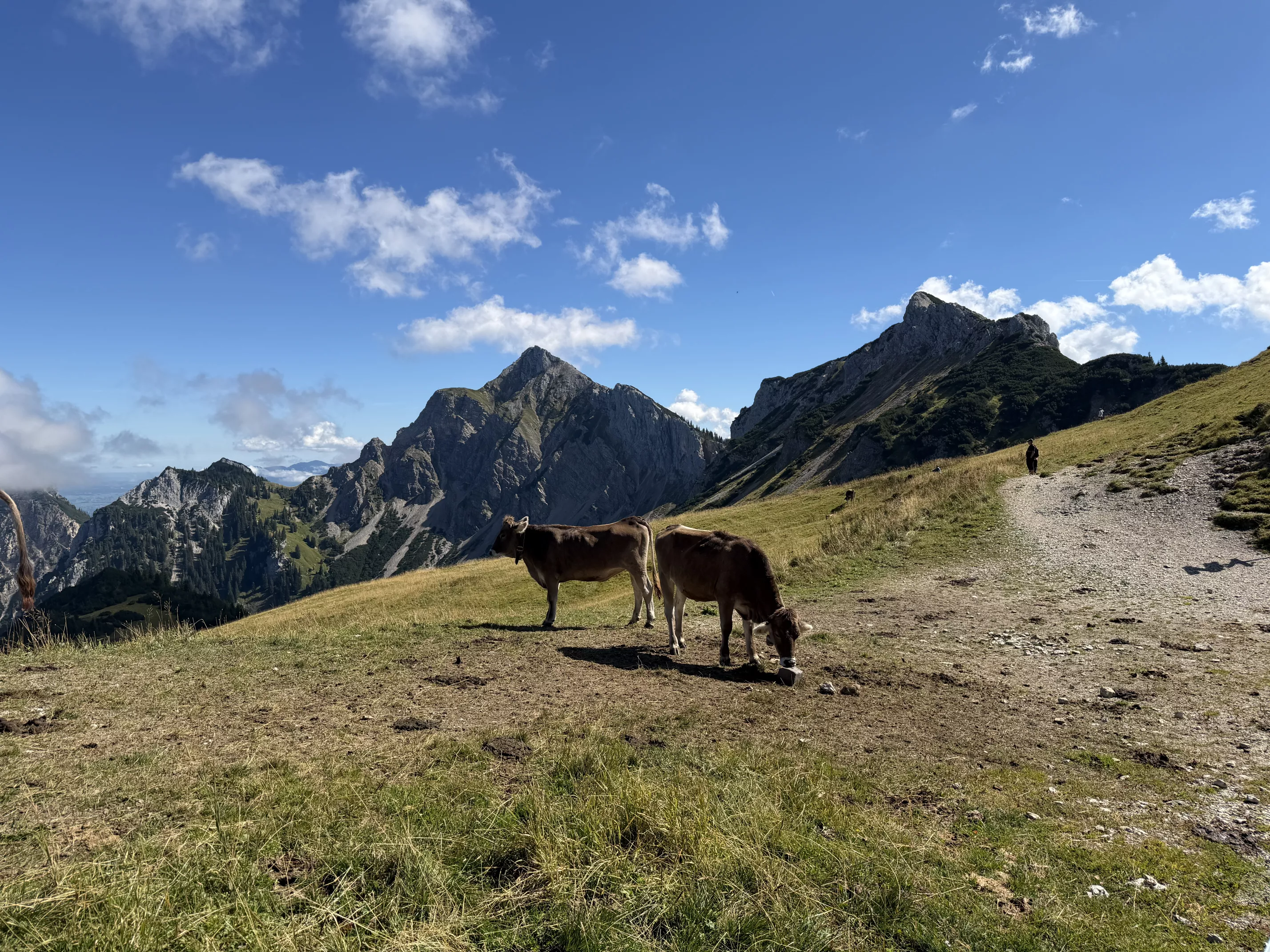 Ferienwohnung im Allgäu