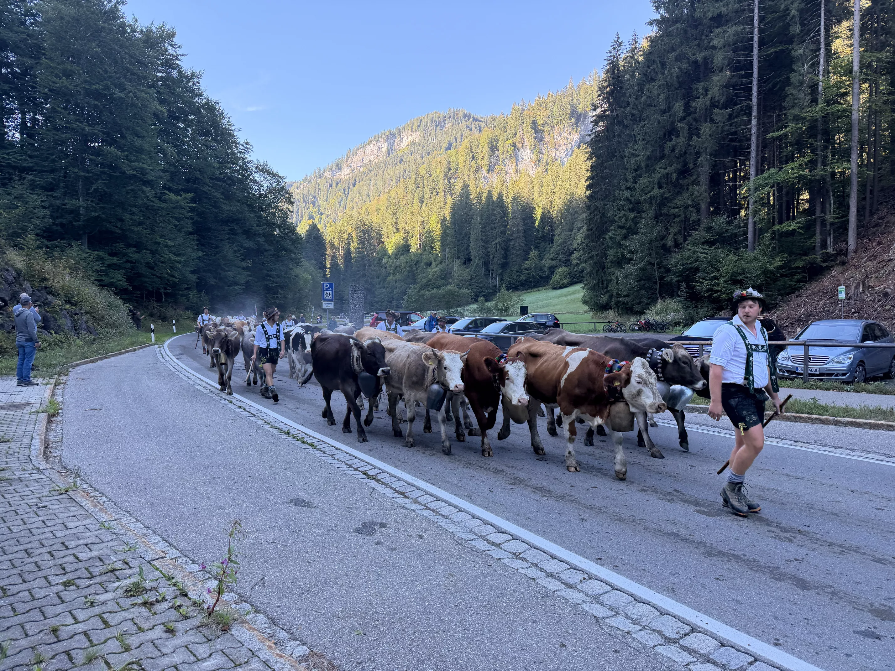Ferienwohnung im Allgäu