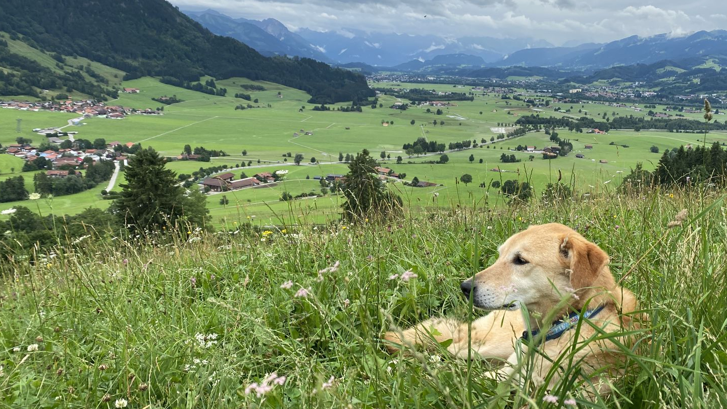 Ferienwohnung im Allgäu