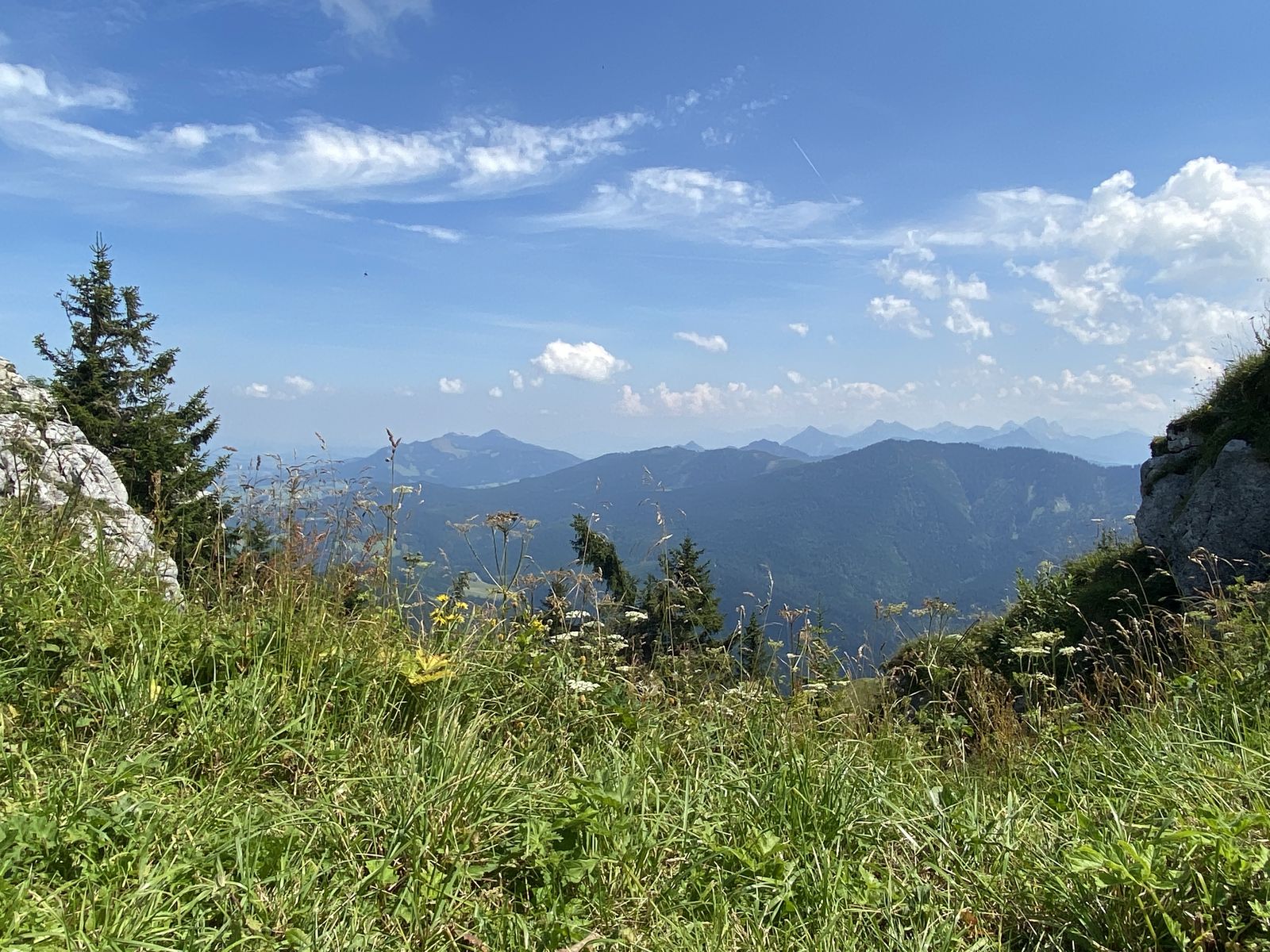 img-35306060e8d81215e-1600.60a16d2091b9d