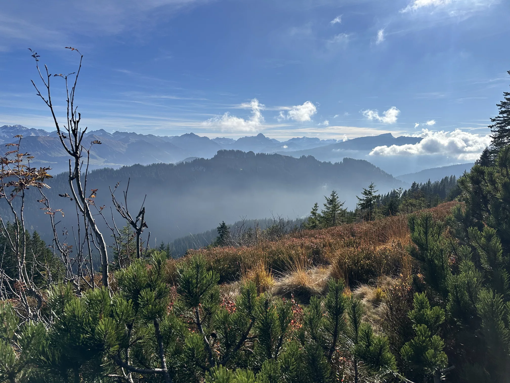 Ferienwohnung im Allgäu